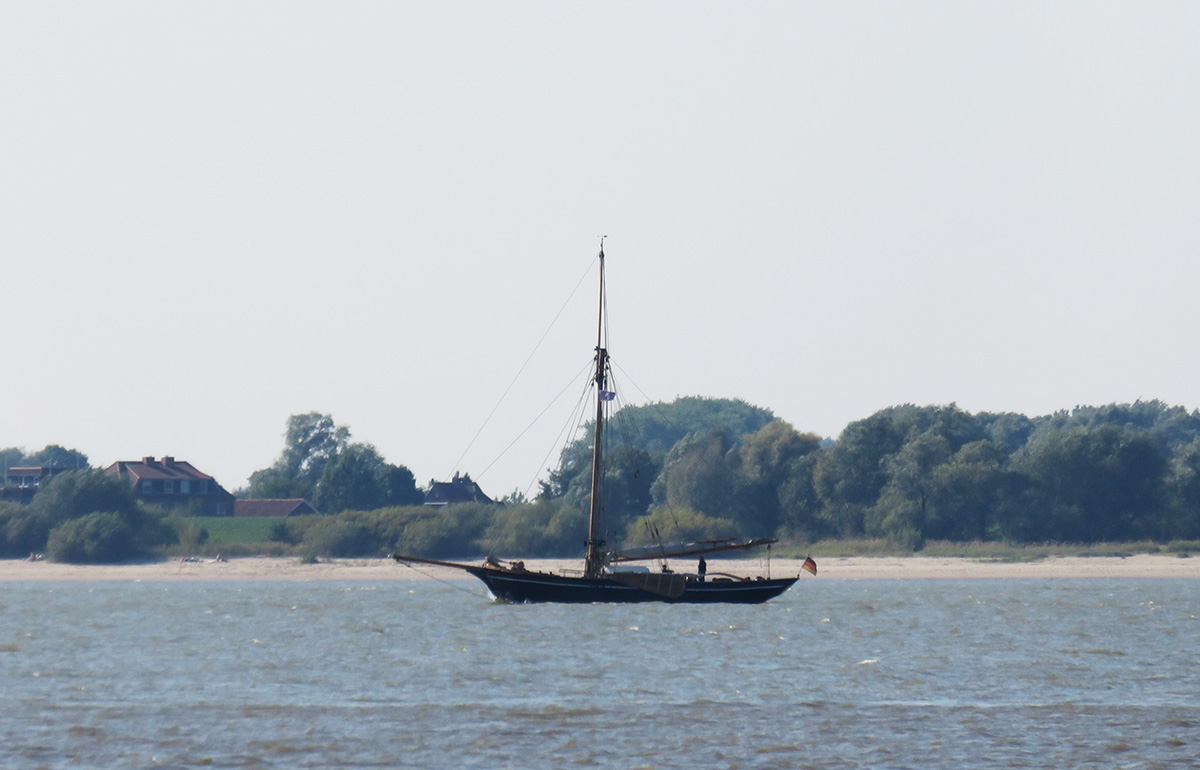 Armando Martins Escritor Sagres - Hamburgo Elba - Barco